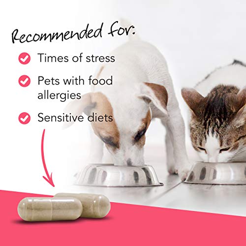 VetriScience Vetri Mega Probiotic and Prebiotic for Dogs and Cats, 180 Capsules - Digestive Relief - Easy to Give Capsules - GI Support - Image 3