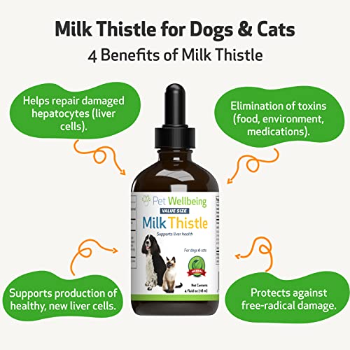 Pet Wellbeing Milk Thistle for Dogs & Cats - Supports Liver Health, Protects Liver - Glycerin-Based Natural Herbal Supplement - 4 oz (118 ml) - Image 6
