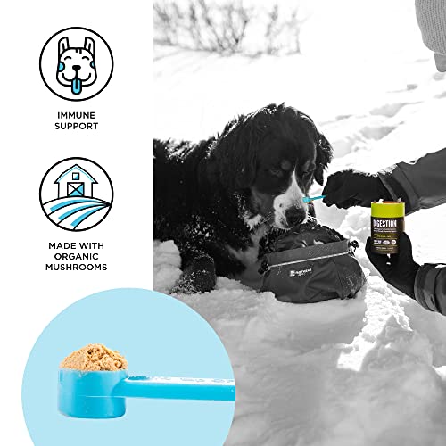 BIXBI dog vitamins supplements Immune Support Daily Cat Supplement, Powder Supplement, 2 Month Supply US - Image 4